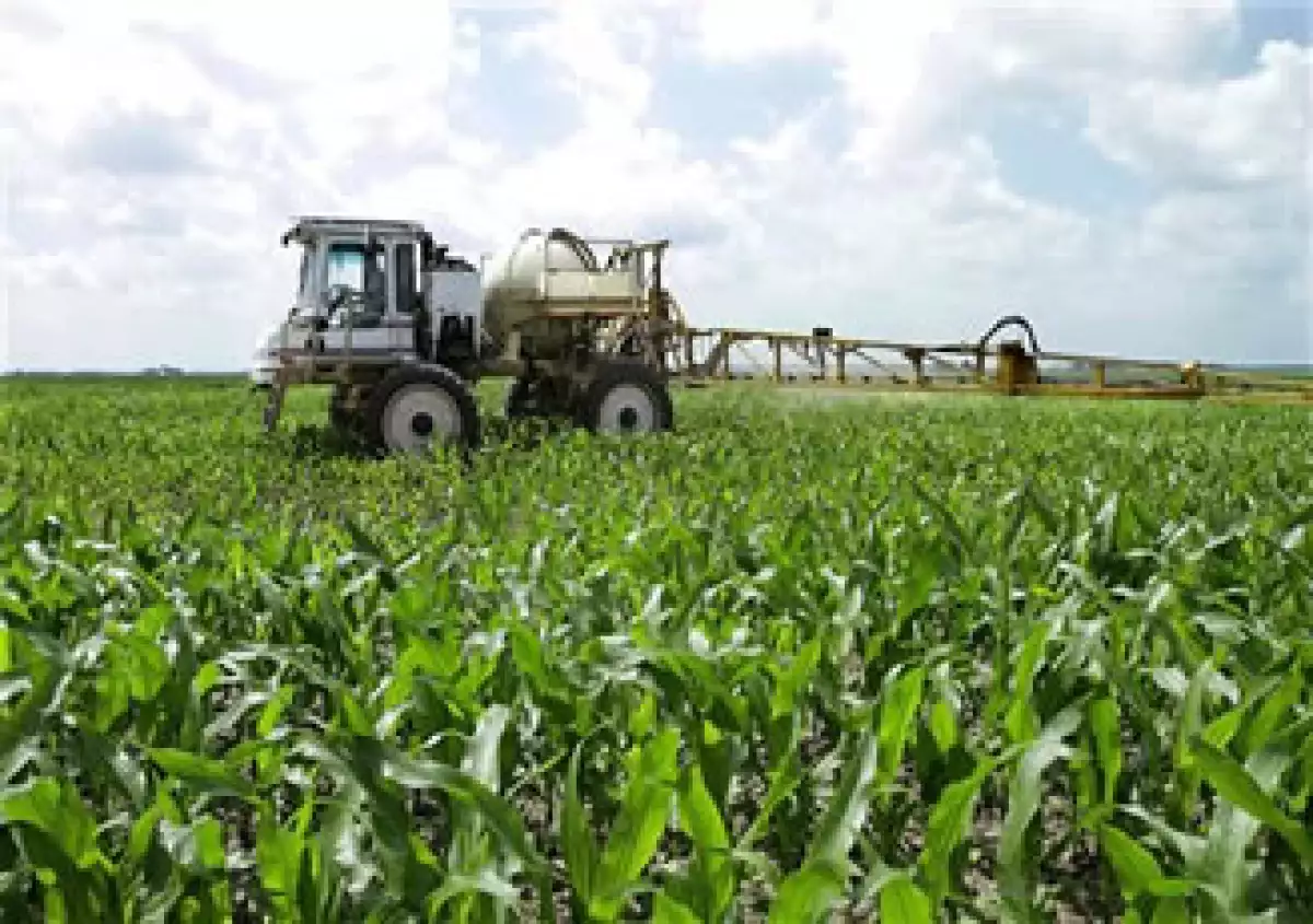 El cambio climático afectará a los productos agrícolas en todo el mundo, concluyó APEC. (Foto: AP)