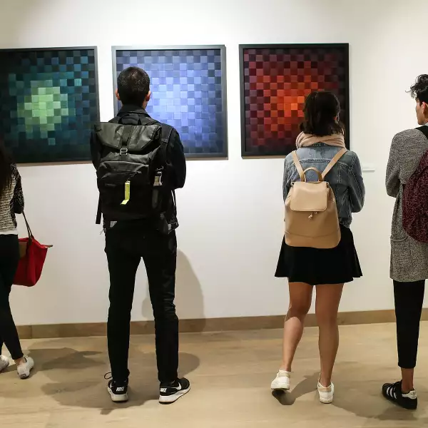 Inauguración Damián Suárez, Fenotipo de la luz