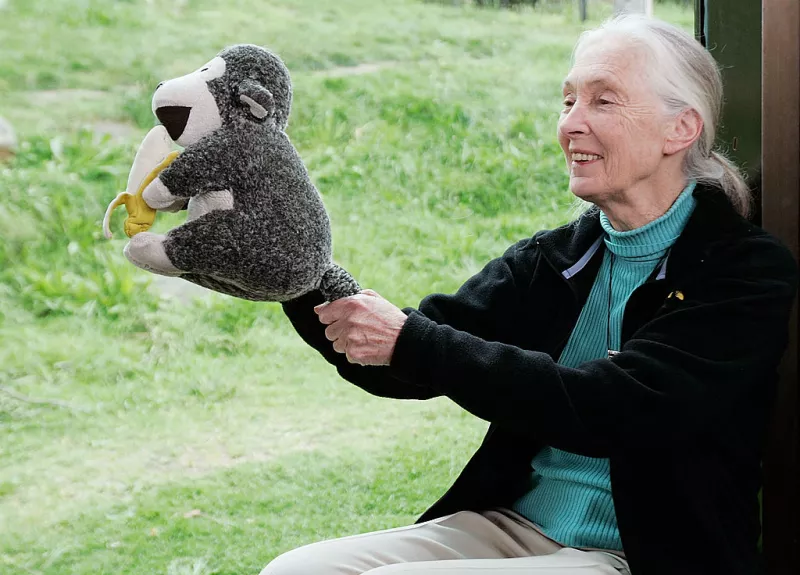 Dr Jane Goodall Speaks At Taronga Zoo