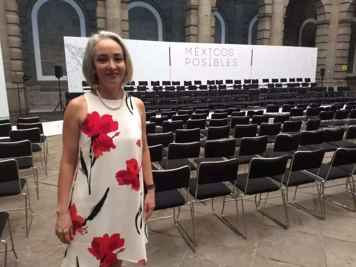Gabriela Hernández es vocera de Méxicos Posibles y forma parte del equipo negociador del TLCAN.