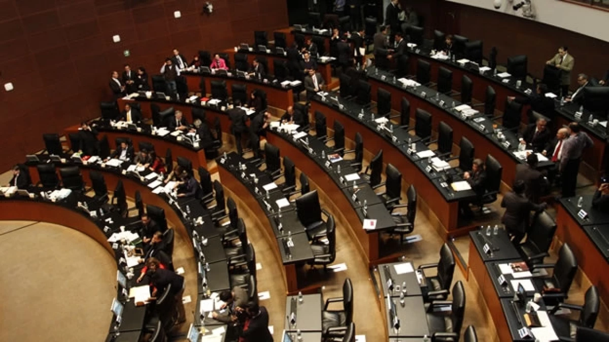 senado