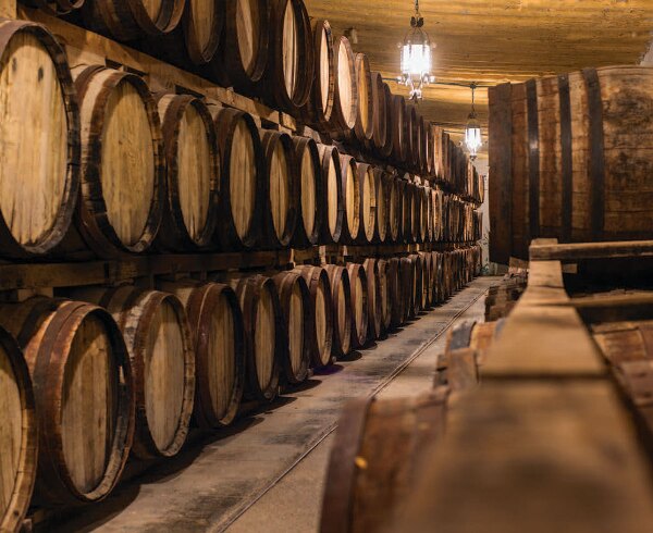 Bodegas de Casa Madero.