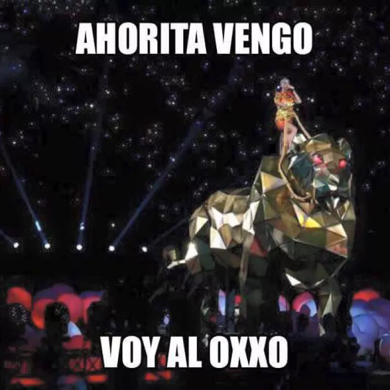 Ni la cantante se salva de los usuarios de Internet, y aún no terminaba su show cuando ya había memes en la red tomando con humor su presentación.