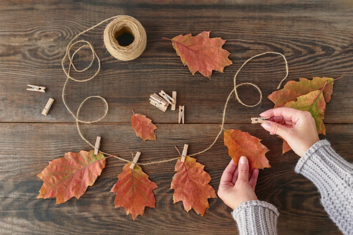 Homemade garland of colored autumn leaves with womans hands