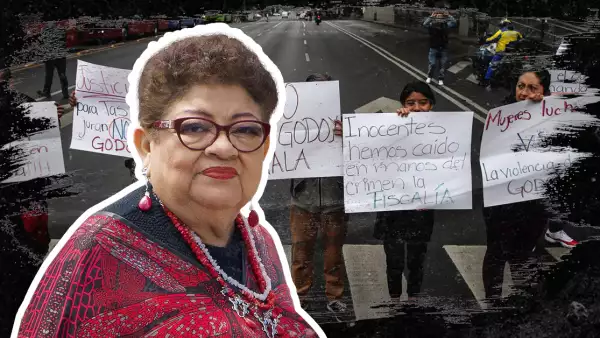 Ernestina Godoy ratificación