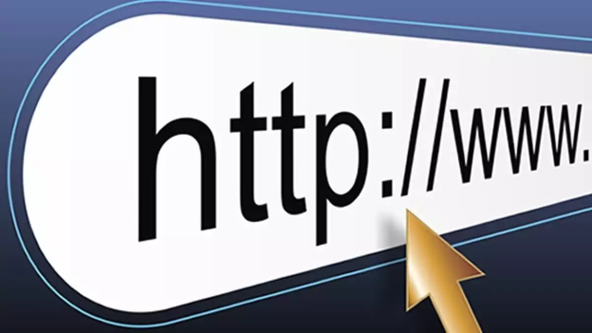 world wide web