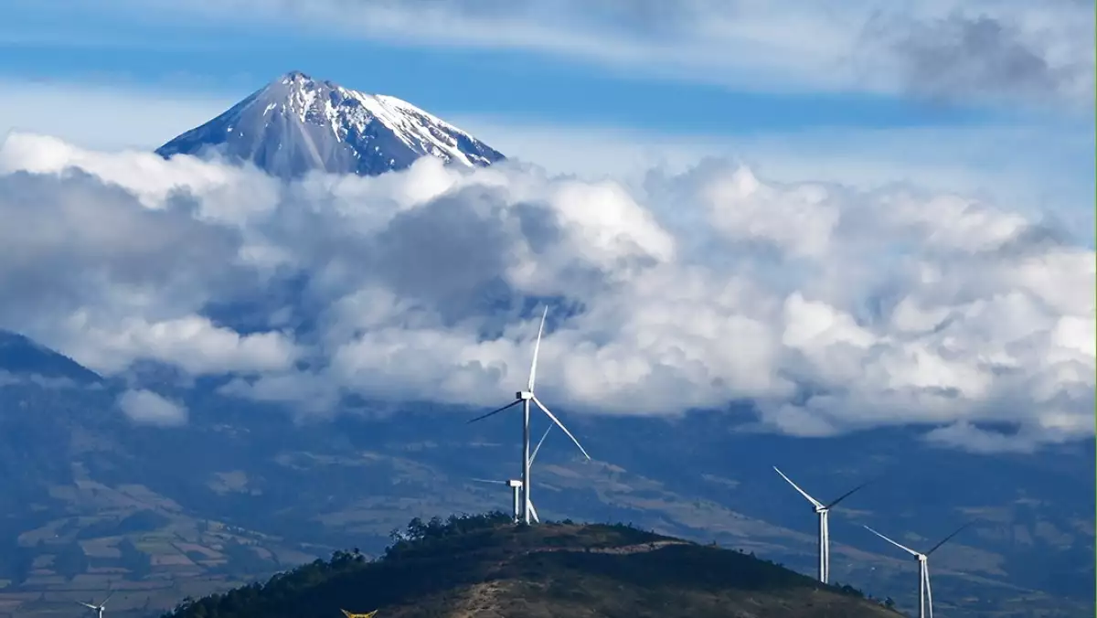 berdrola México-