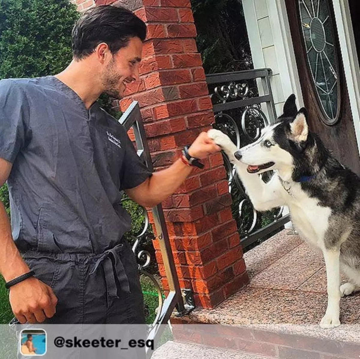 La husky que tanto presume en su cuenta de Instagram se llama Roxy.