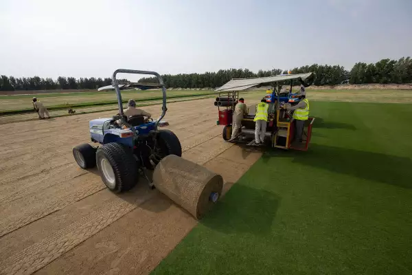 (Cultivo de pasto de invernadero)