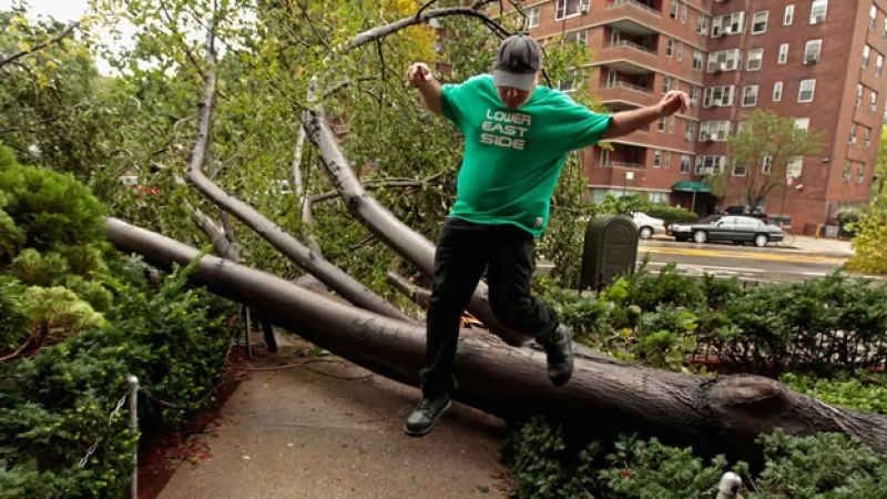 un hombre brinca un arbol