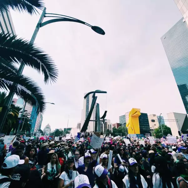 WhatsApp Image 2020-03-08 at 7.31.11 PM (4)