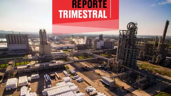 Alfa y resultados trimestrales