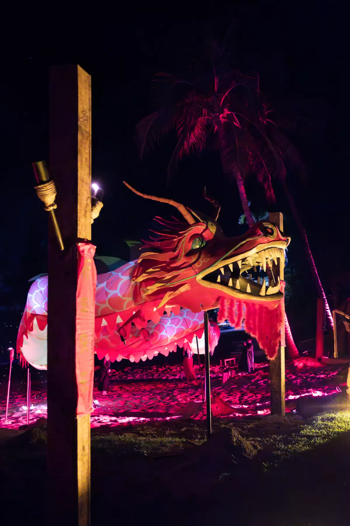 Careyes Chinese New Year 2024