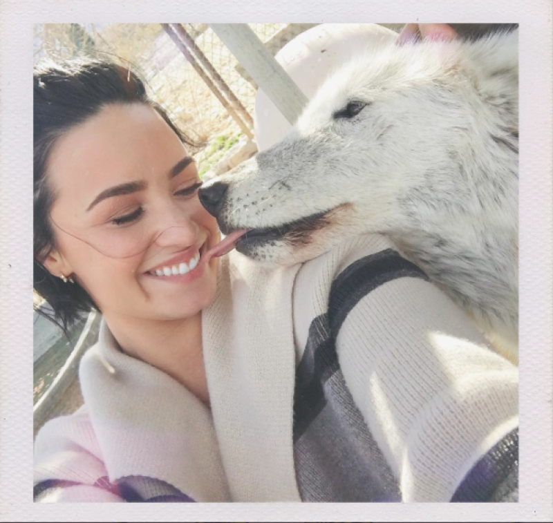 Demi aseguró que quisiera pasar mucho tiempo más con estos animales.