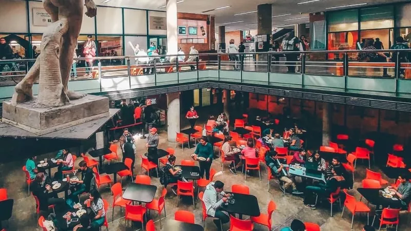 La UNAM te paga la comida: cómo registrarse a la beca de Apoyo Nutricional 2026