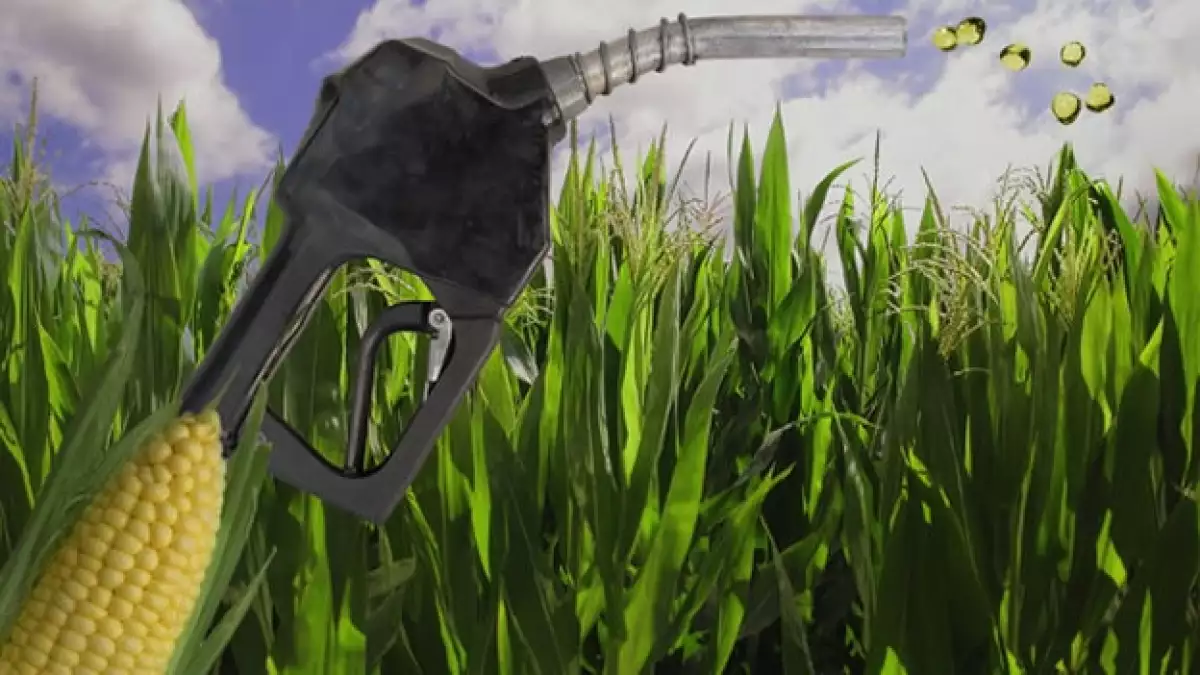 biocombustibles en México