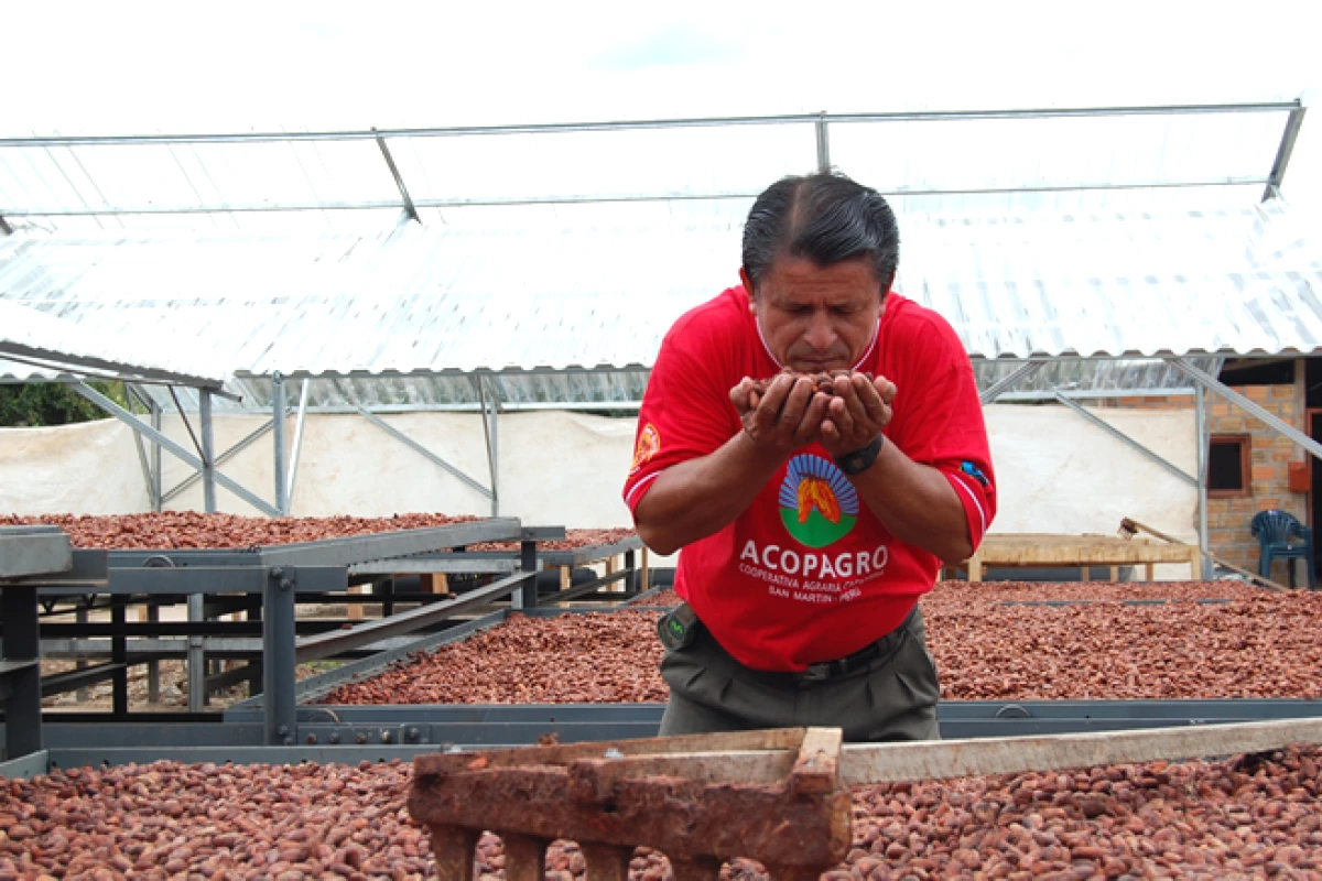 TCHOSource es nuestro �nico programa dedicado a colaborar directamente con los productores y trabajar estrechamente con ellos para producir un gran cacao.