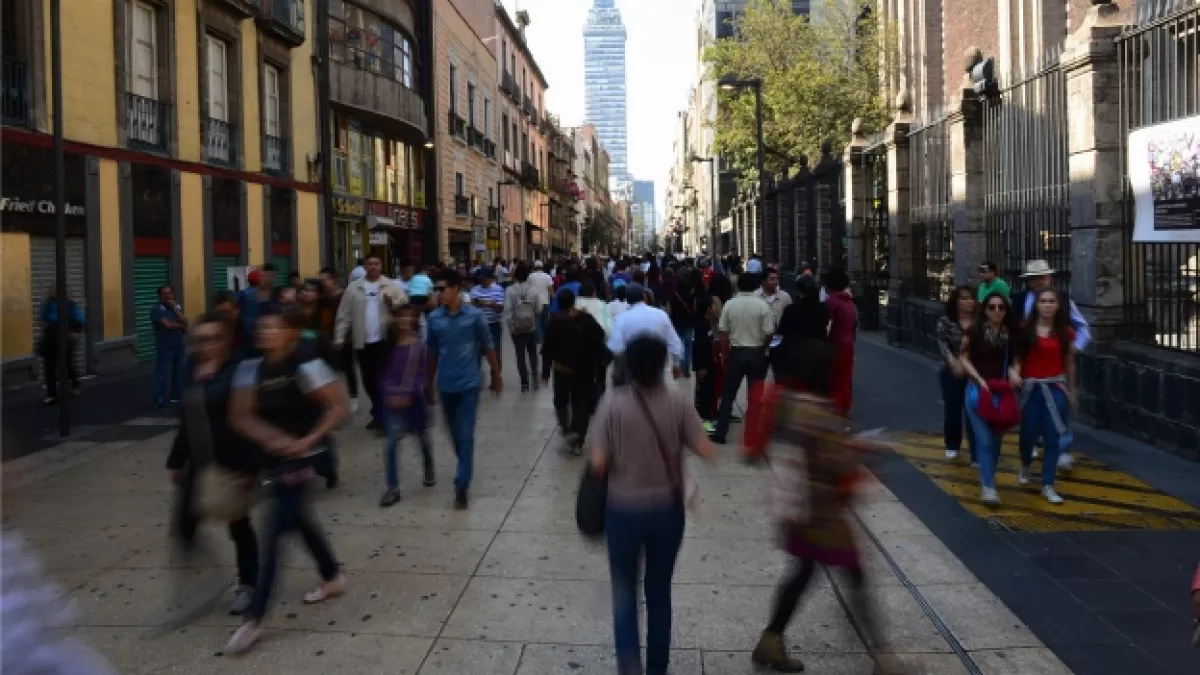 centro historico festival axolotl
