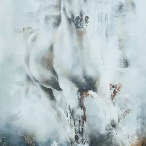 Colección Carla Elena Name