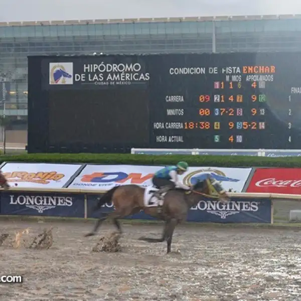 Aspecto del Hipódromo.