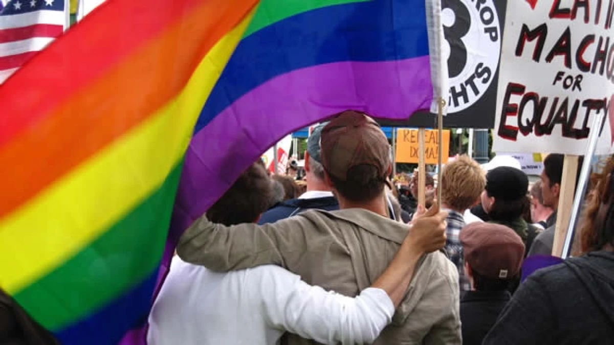 gays-política