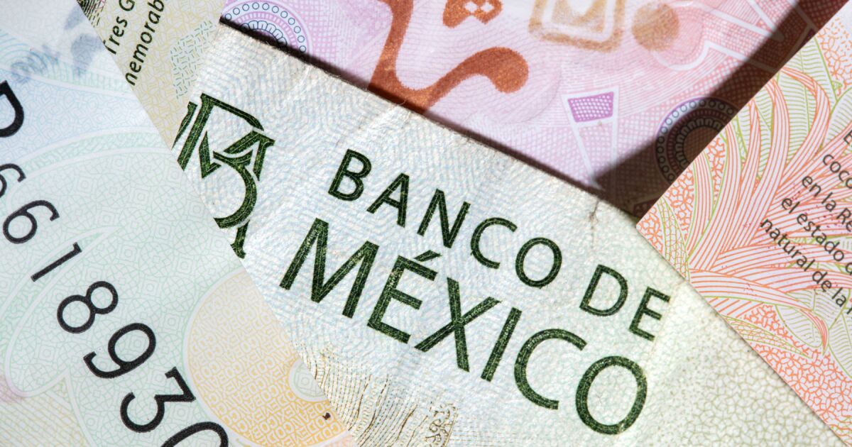 Banxico faiz indirimi döngüsünü sonlandırdı ve faiz oranını %6,5'te bıraktı