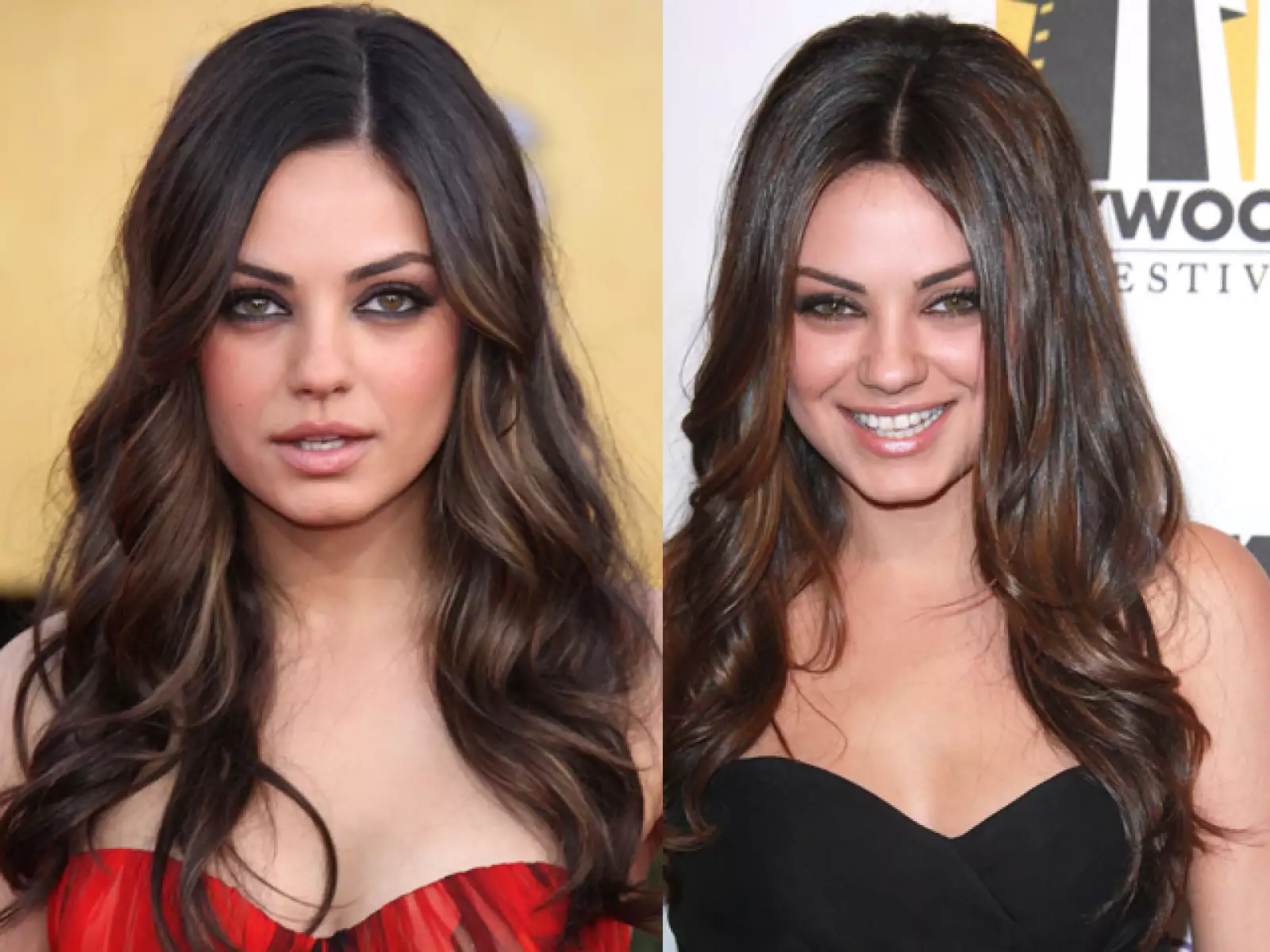 Estuvo nominada en los SAG Awards por Mejor Interpretación De Una Actriz En Un Papel De Soporte por su actuación en Black Swan.