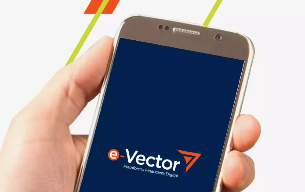 14-Vector Casa de Bolsa.jpeg
