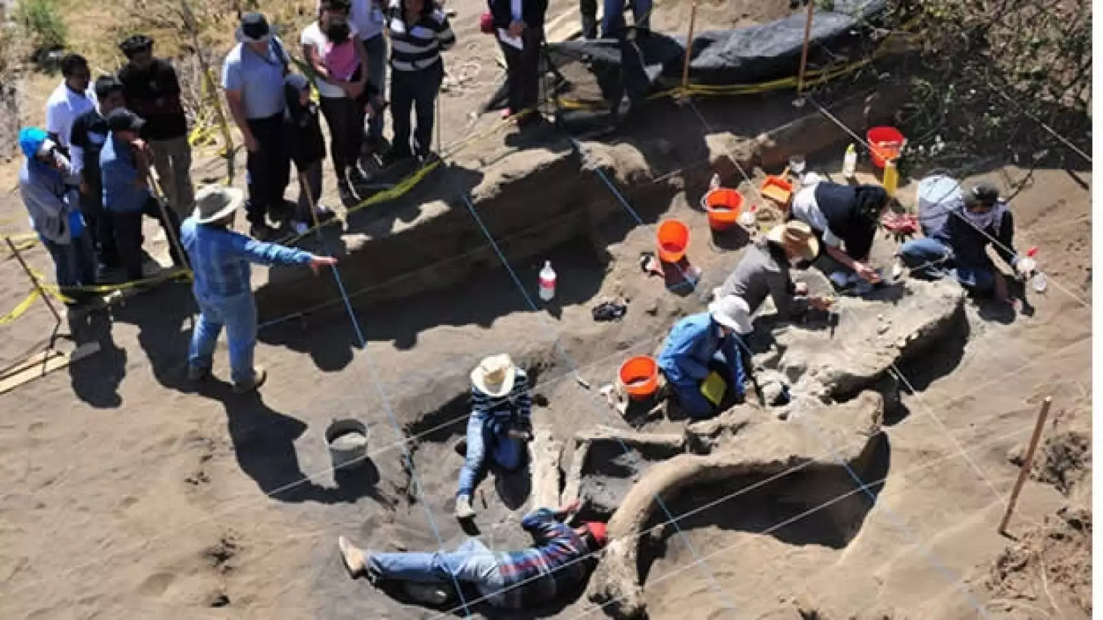excavacion de mamut de milpa alta