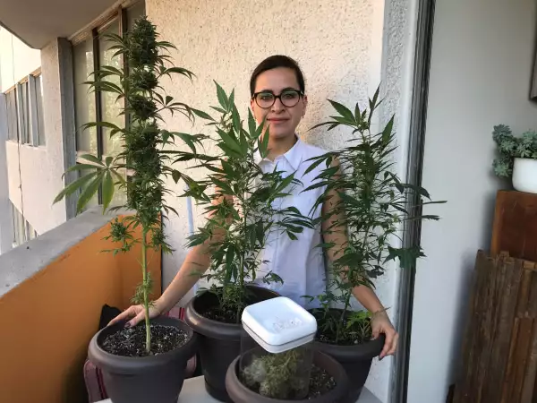 Estrategia floreciente