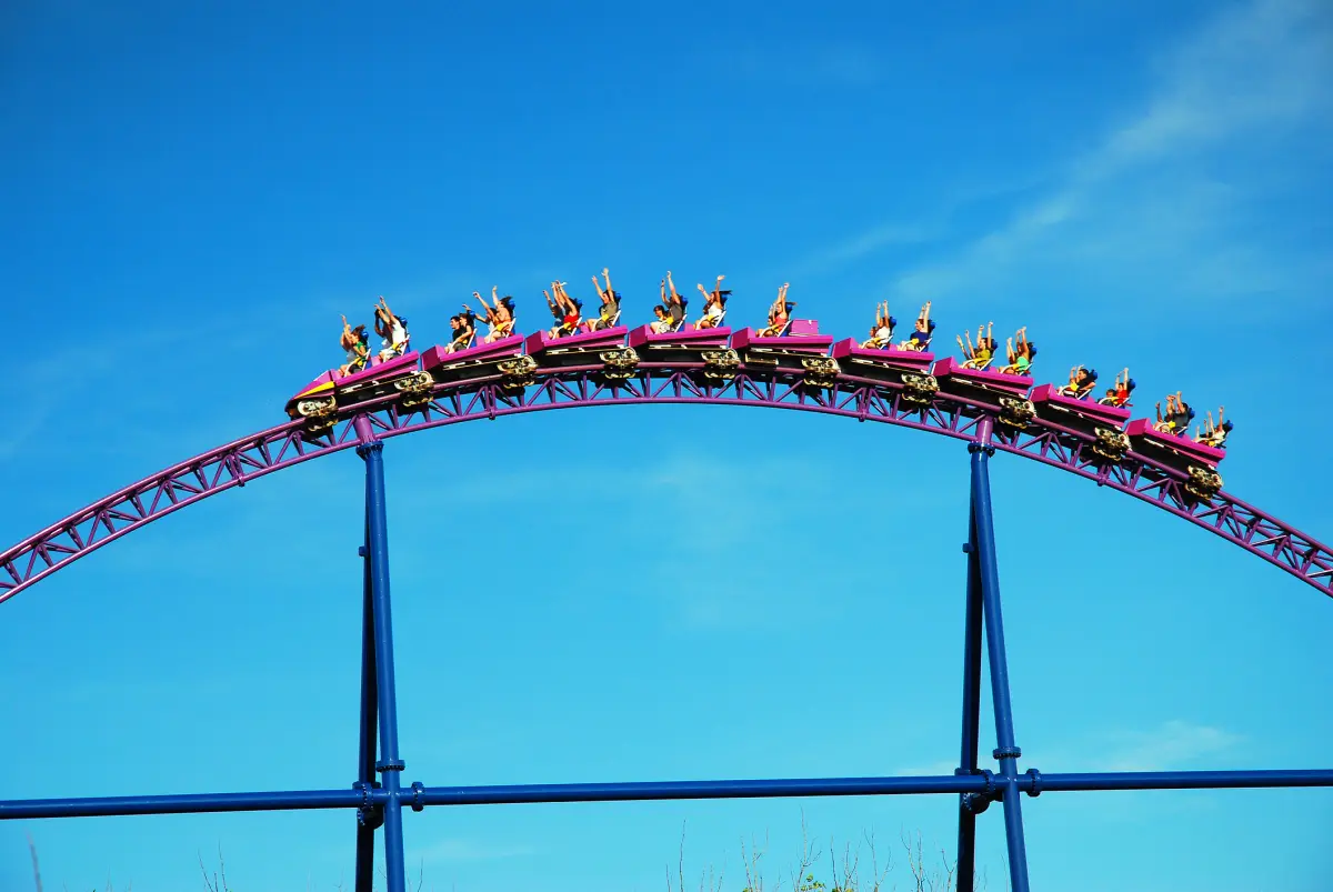 Niegan a Six Flags-México permiso para talar árboles 