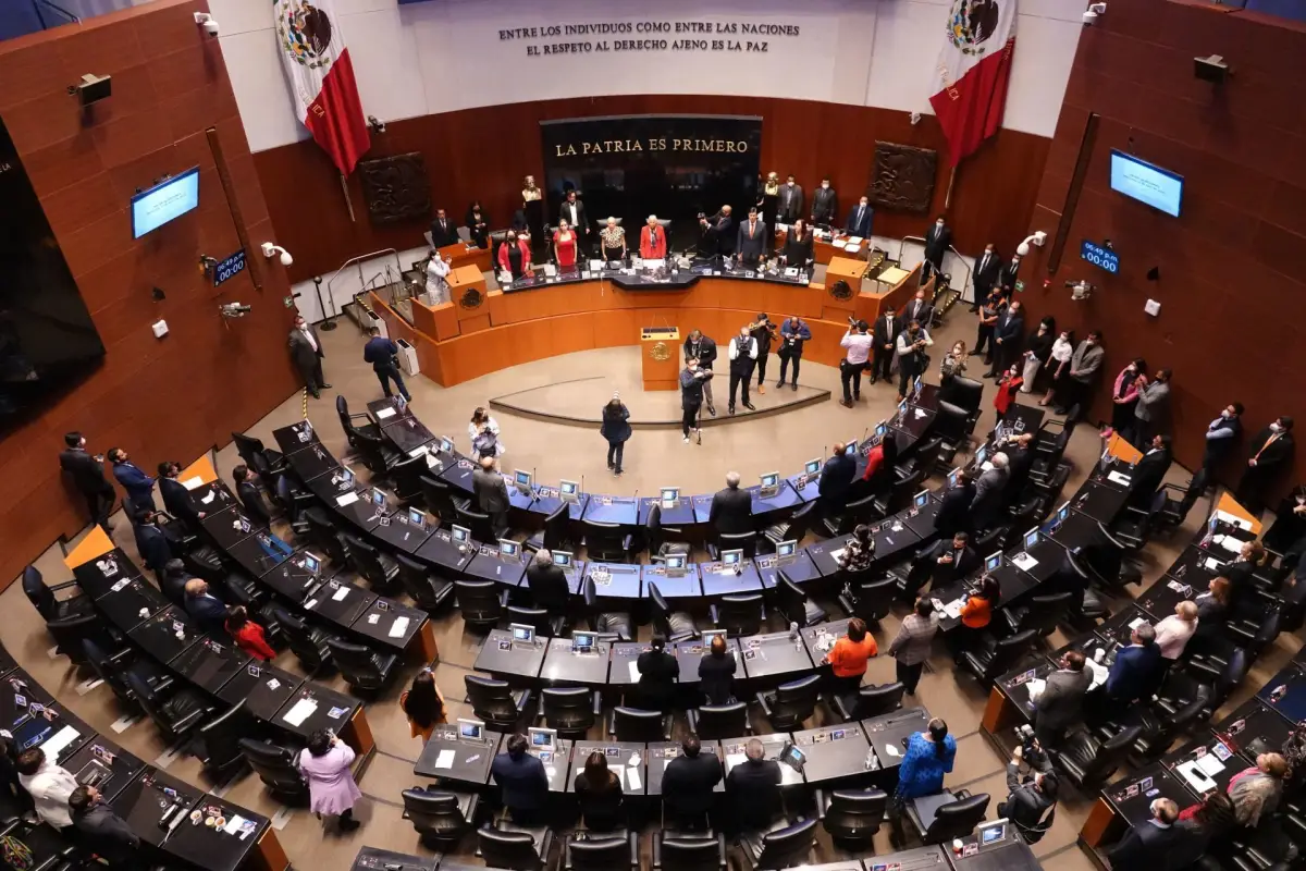 senado