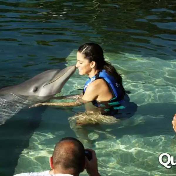 Ana Claudia Talancón rostro Delphinus