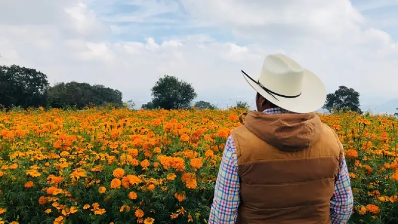 flores de cempas�chitl 6