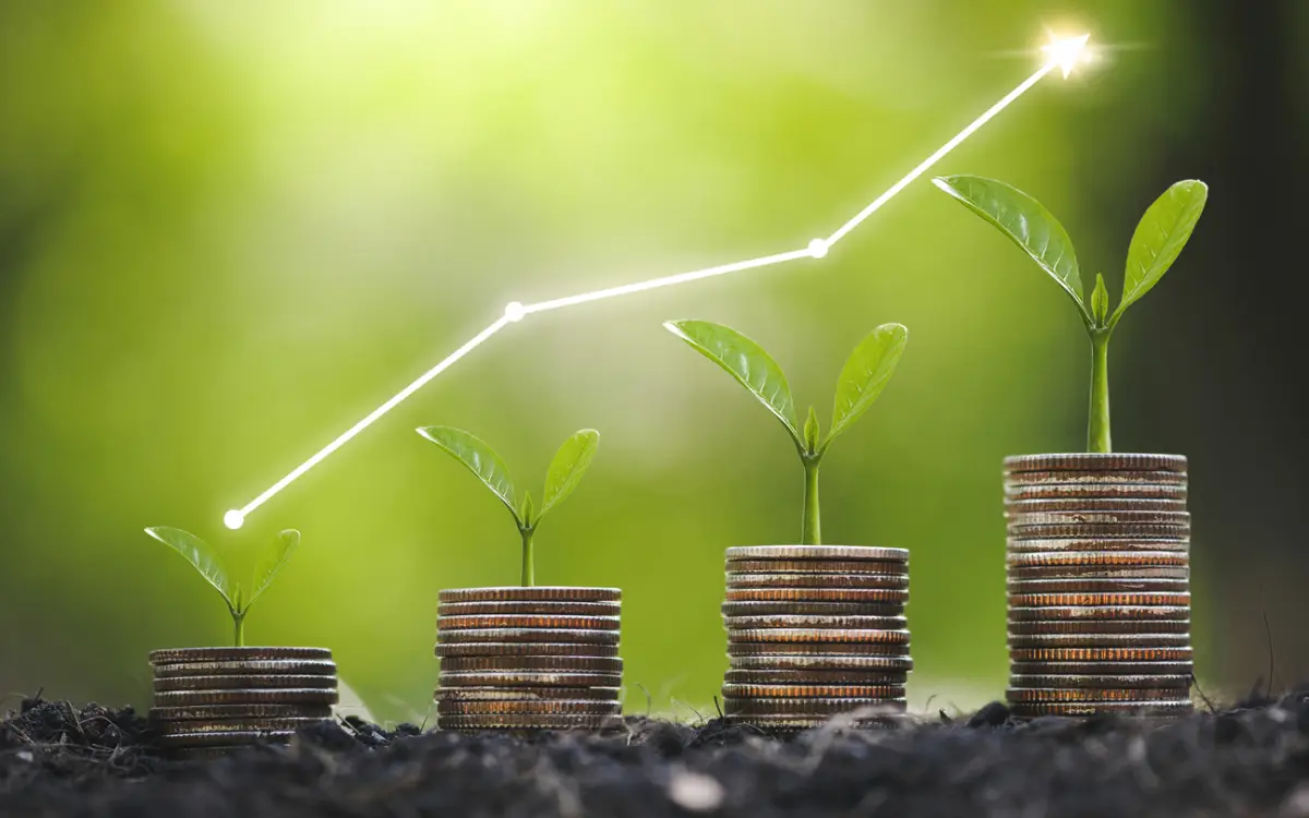 Seedling are growing on coins are stacked and the seedlings in Concept of finance And Investment of saving money or financial and business growth for profit