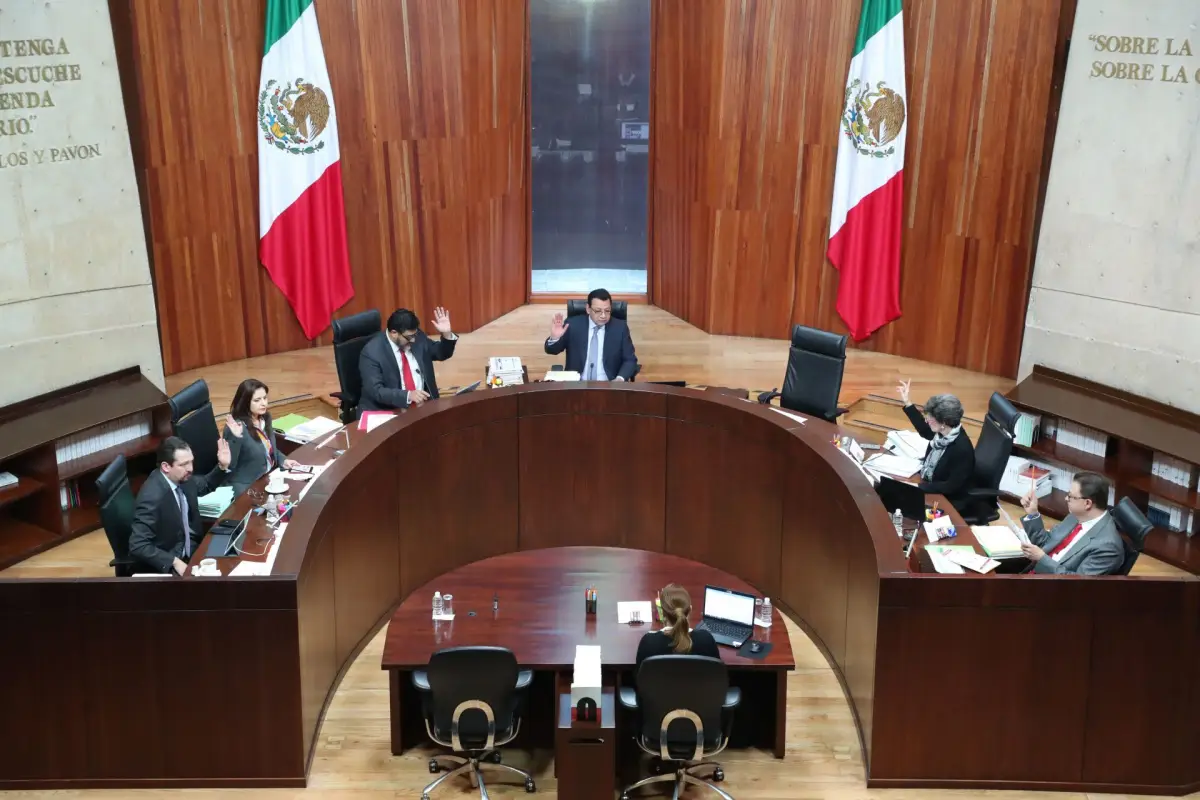 tribunal electoral_morena