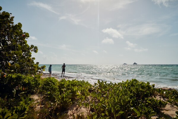 sabatico-bahamas-airbnb