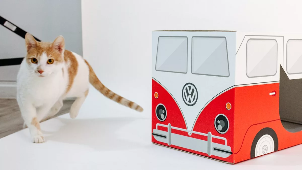 Camper Cat