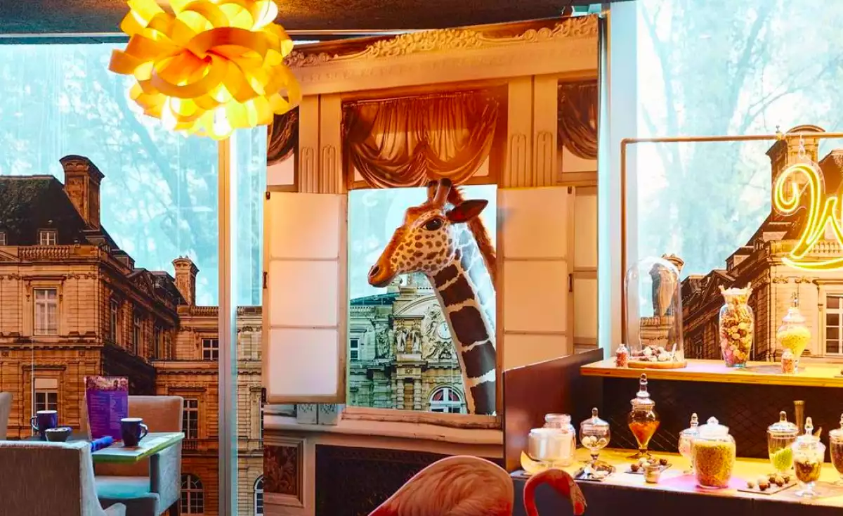 Wonka's Magical World en el Hotel W de CDMX.