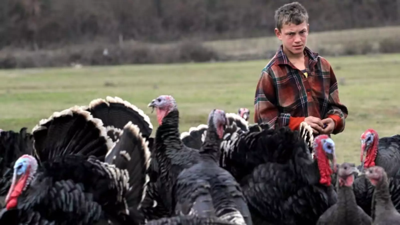 El mundo se prepara para el 2013