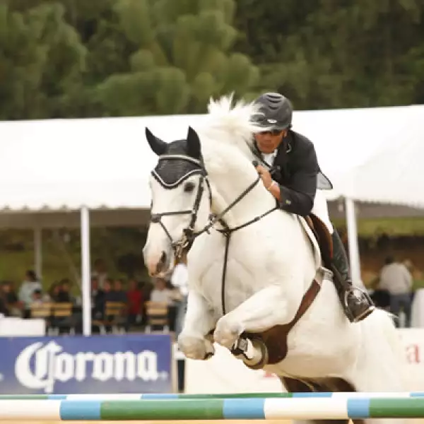 Peyrelonge poresentado por Scappino