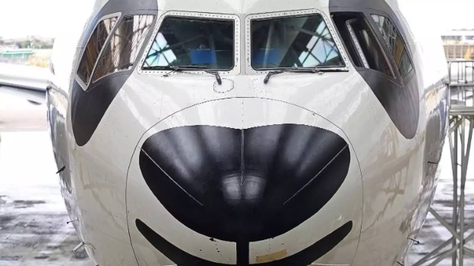 aviones diseños llamativos 15