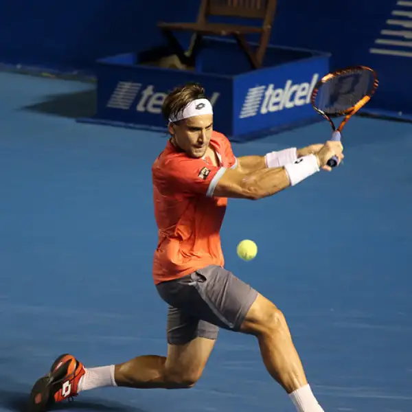 David Ferrer