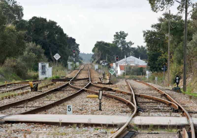 Trenes
