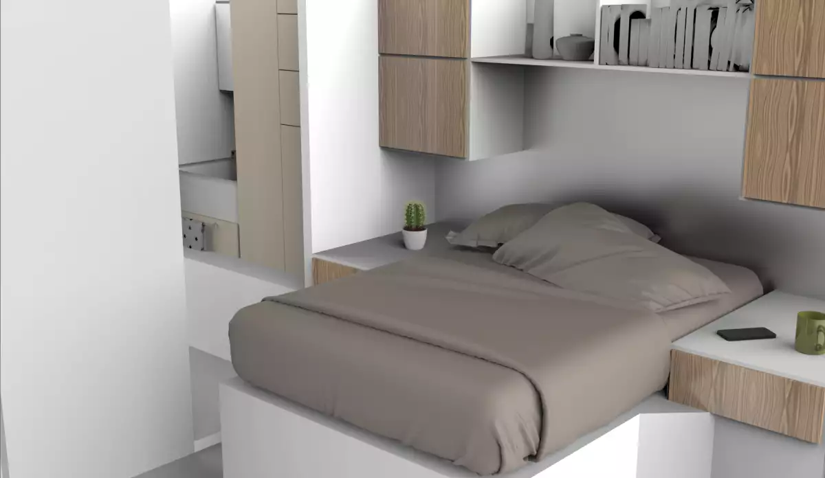 Mini vivienda UNAM VIS (2).png
