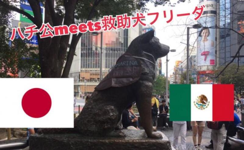 Hachiko.