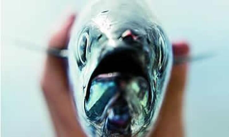 Peces