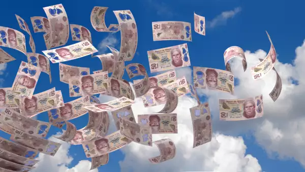 Flying Mexican Pesos