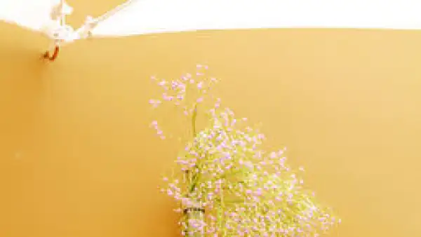 Florero