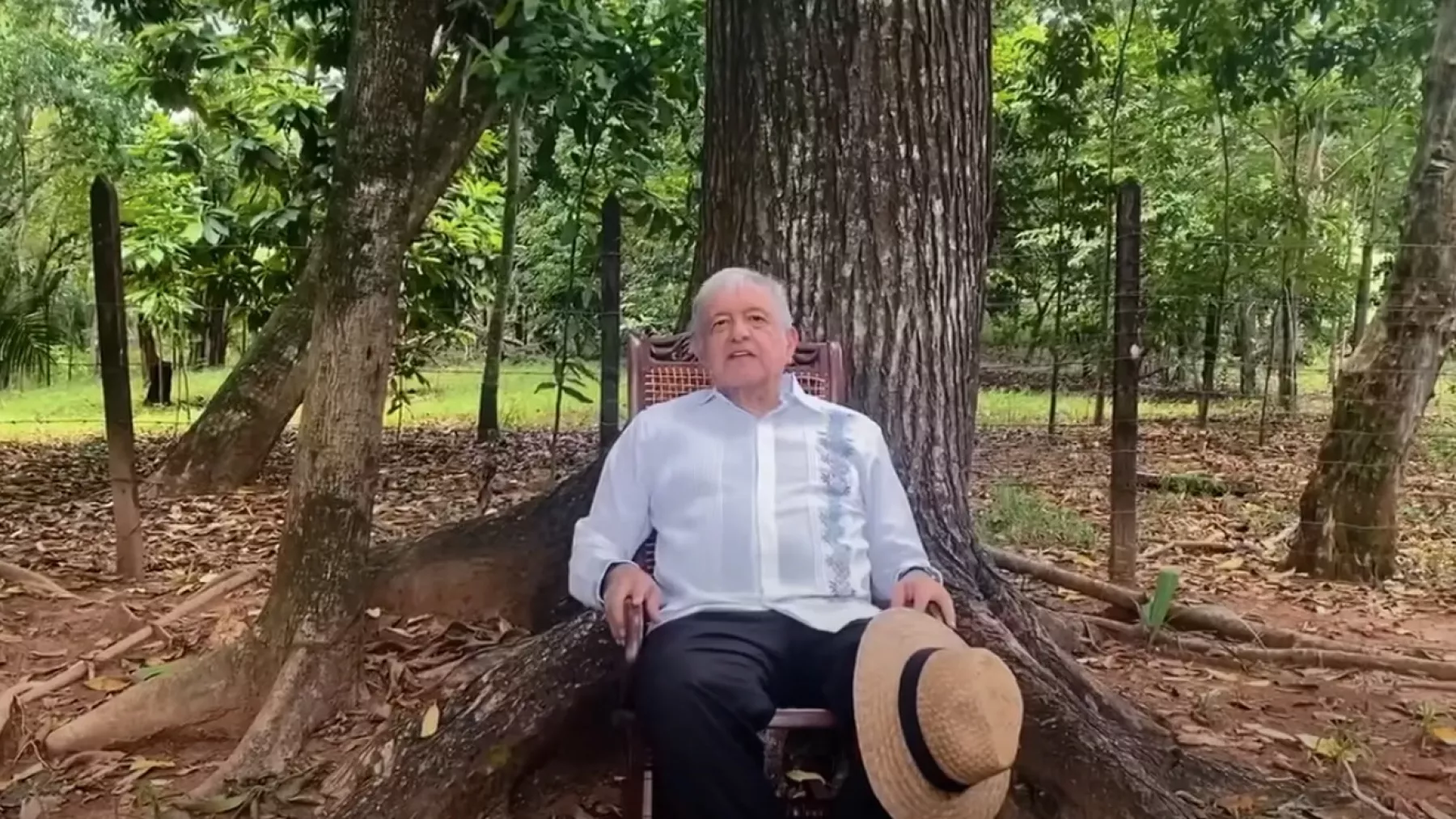 amlo-cumpleanos